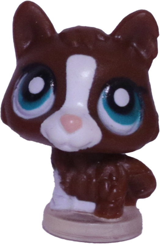 #T?? Teensiest Husky