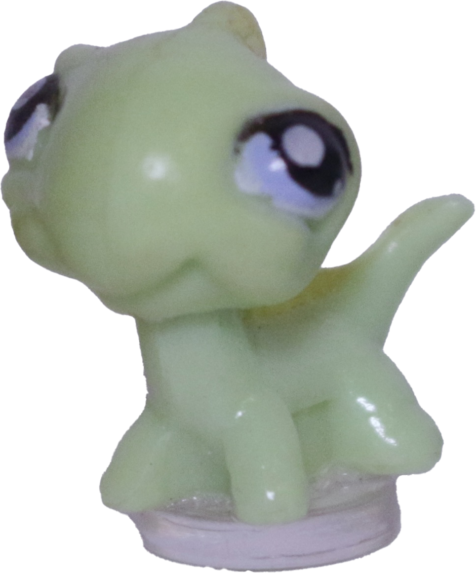 #T?? Teensiest Iguana