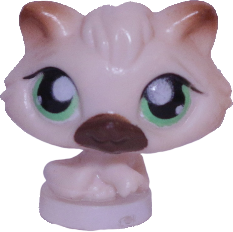 #T?? Teensiest Kitten