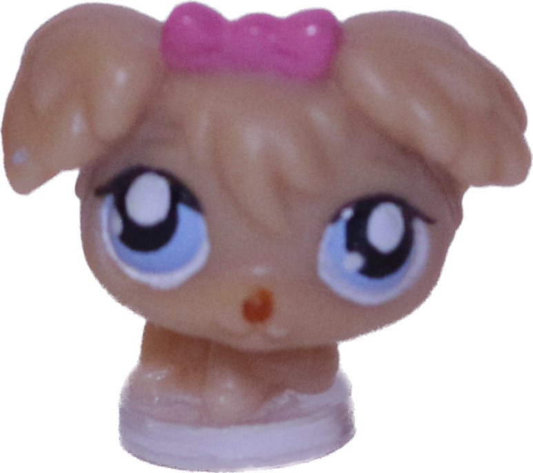 #T?? Teensiest Poodle