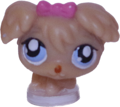 #T?? Teensiest Poodle