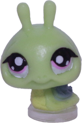 #T?? Teensiest Snail