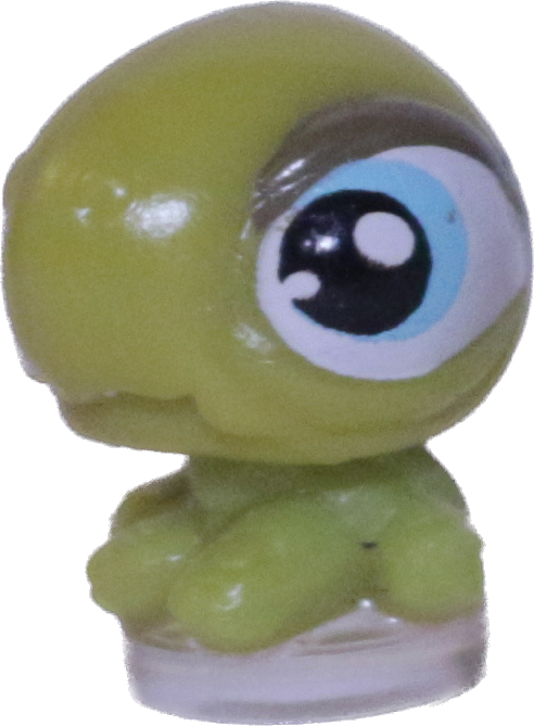 #T?? Teensiest Turtle