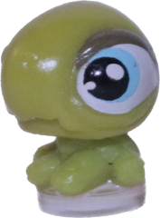 #T?? Teensiest Turtle