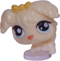 #T113 Teensiest Poodle