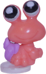 #T2 Teensiest Hermit Crab