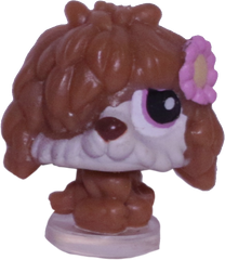 #T26 Teensiest Sheepdog