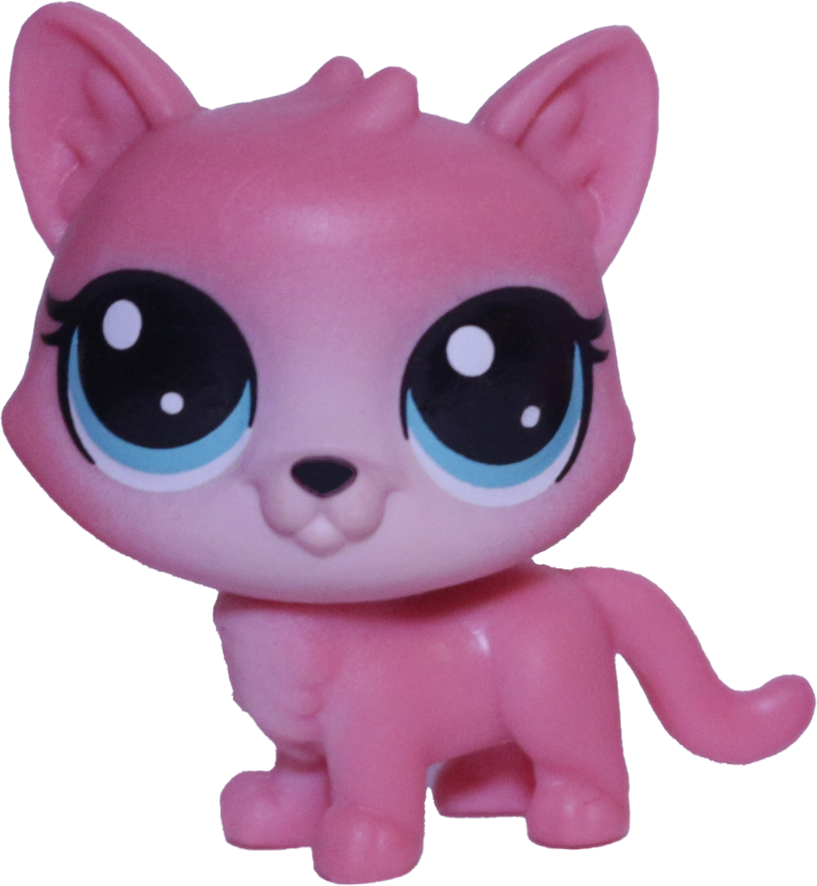 Unknown # Mini Kitten