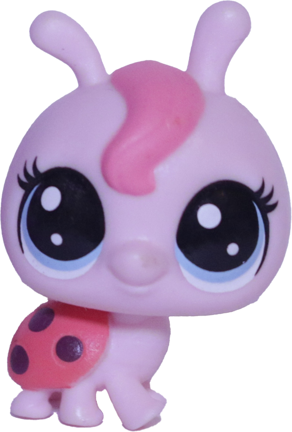 Unknown # Mini Ladybug