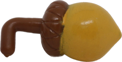 Acorn