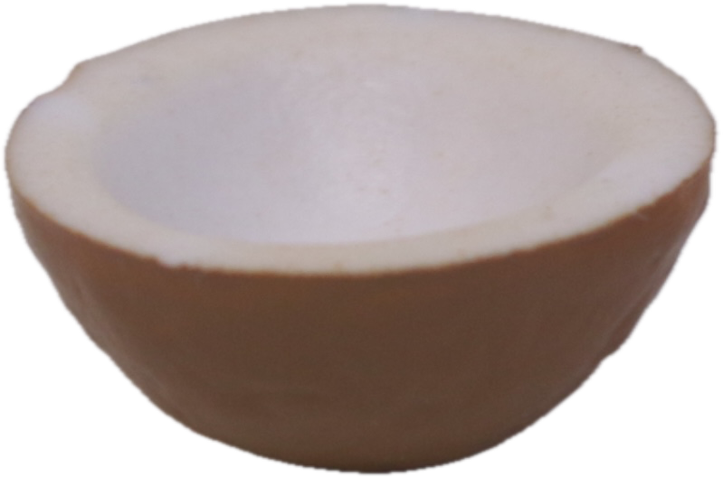 Coconut Bowl