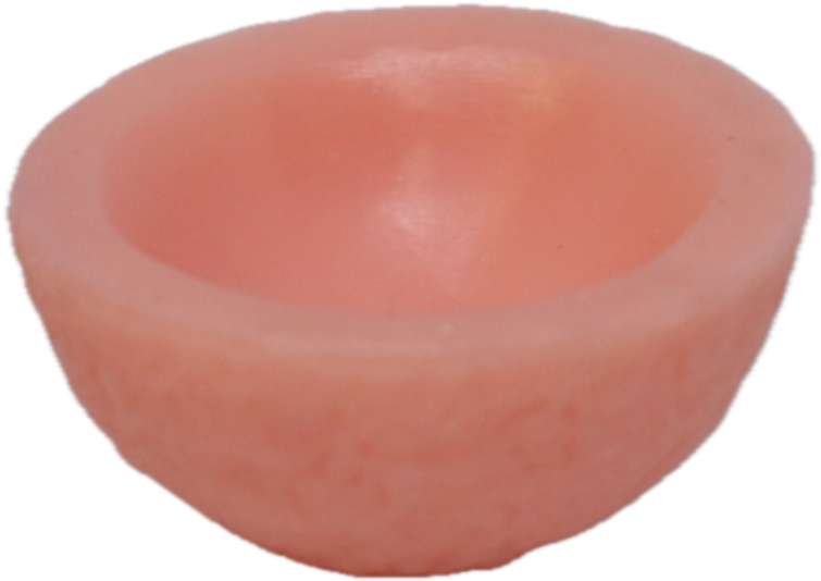 Coconut Bowl
