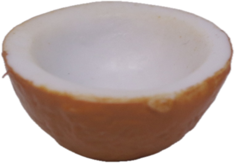 Coconut Bowl