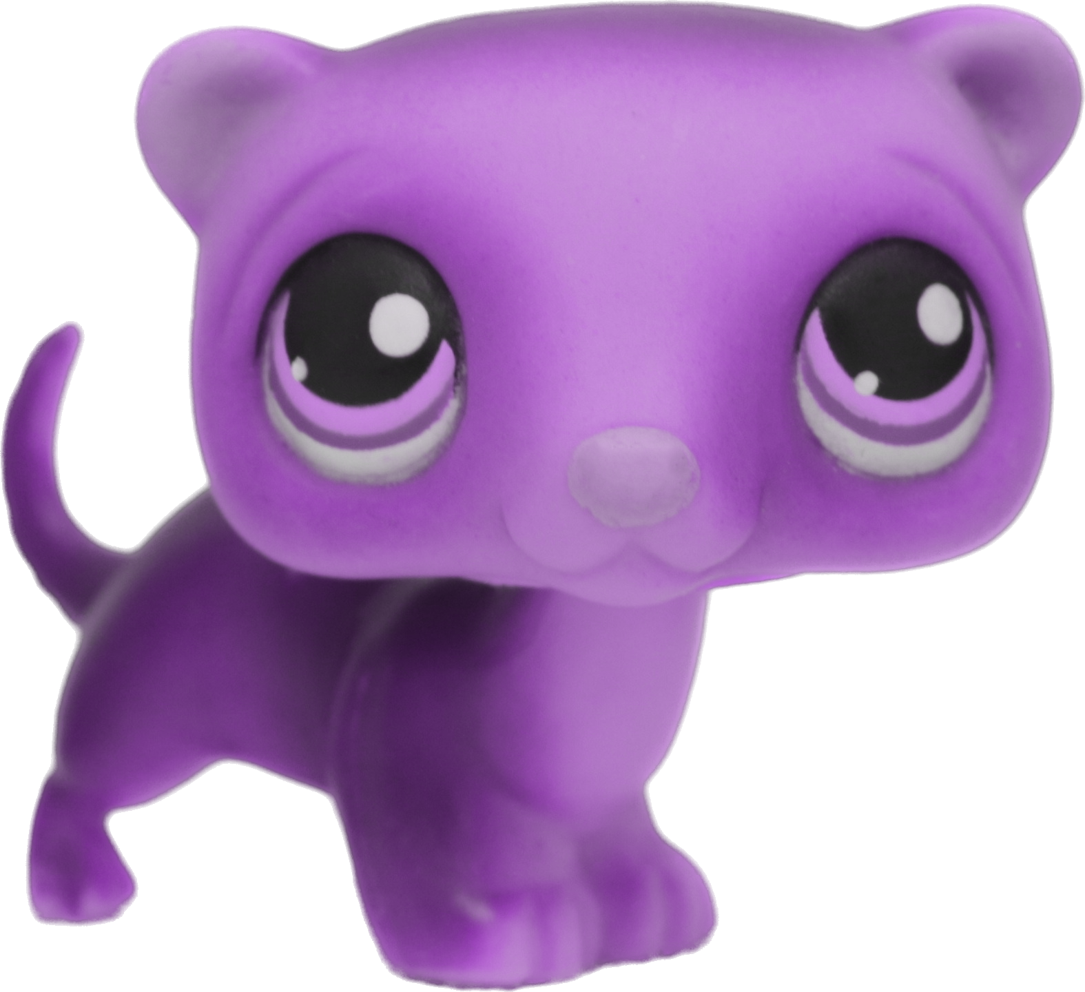 Custom Base: Ferret