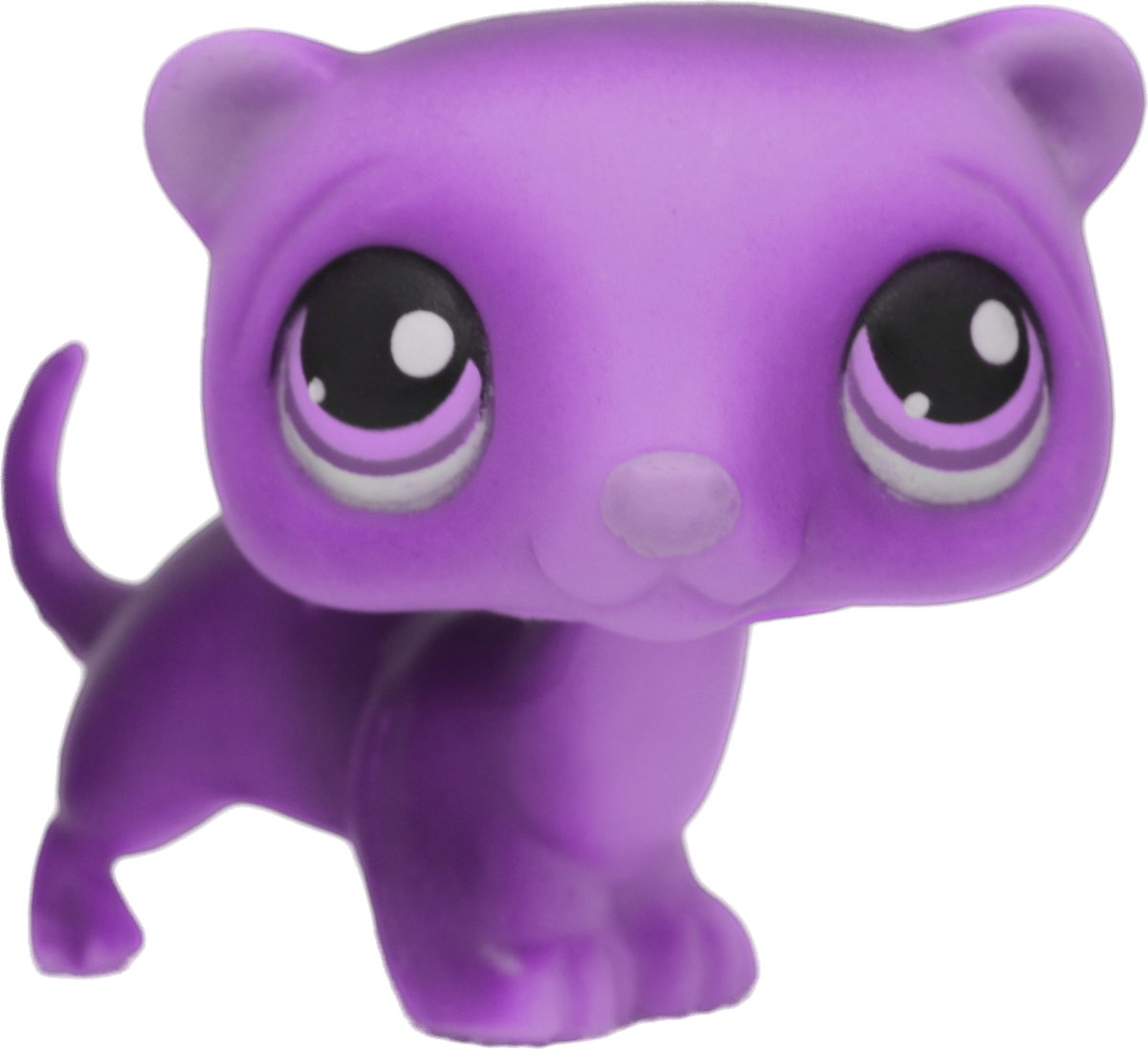 Custom Base: Ferret