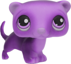 Custom Base: Ferret