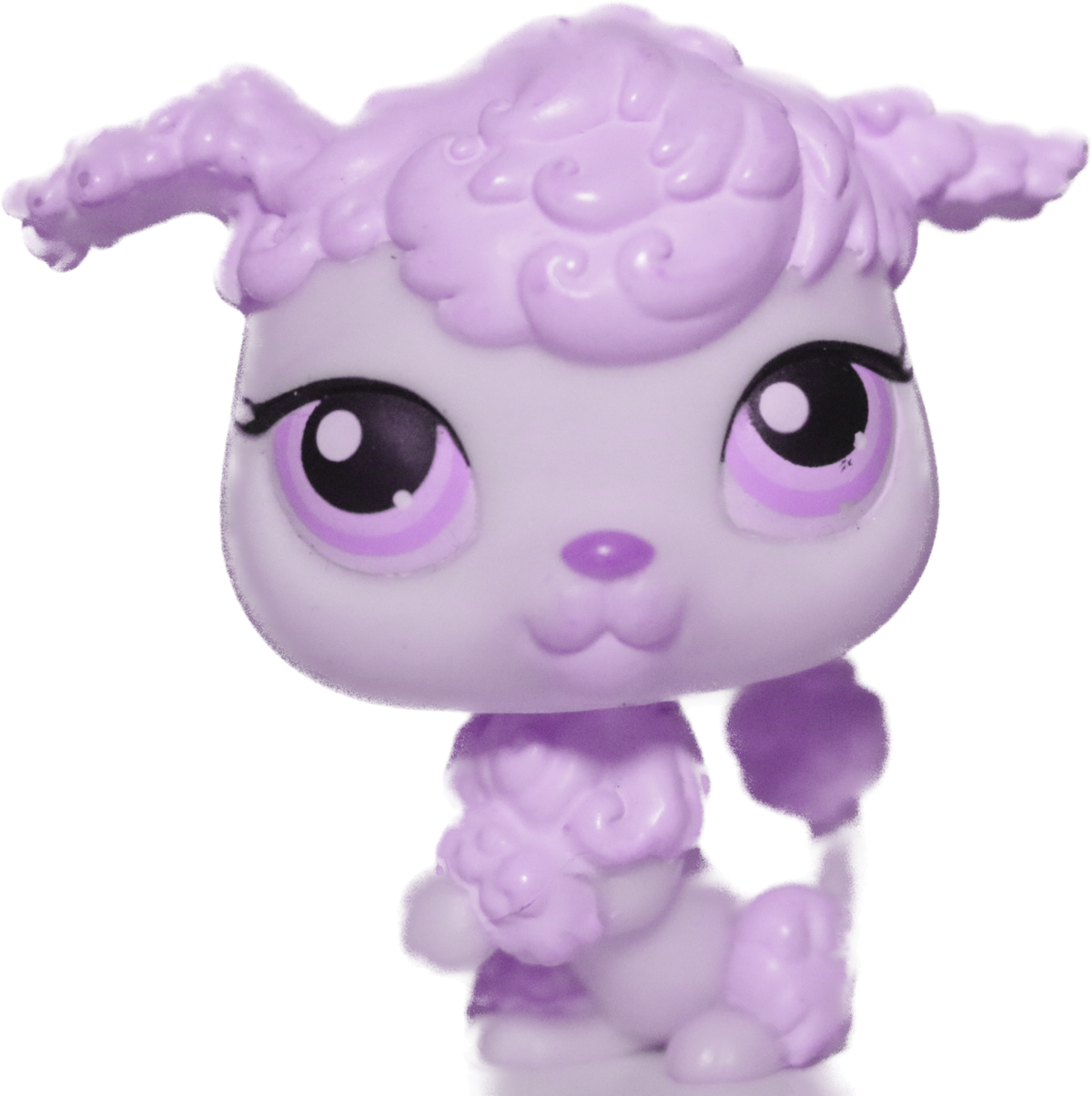 Custom Base: Poodle