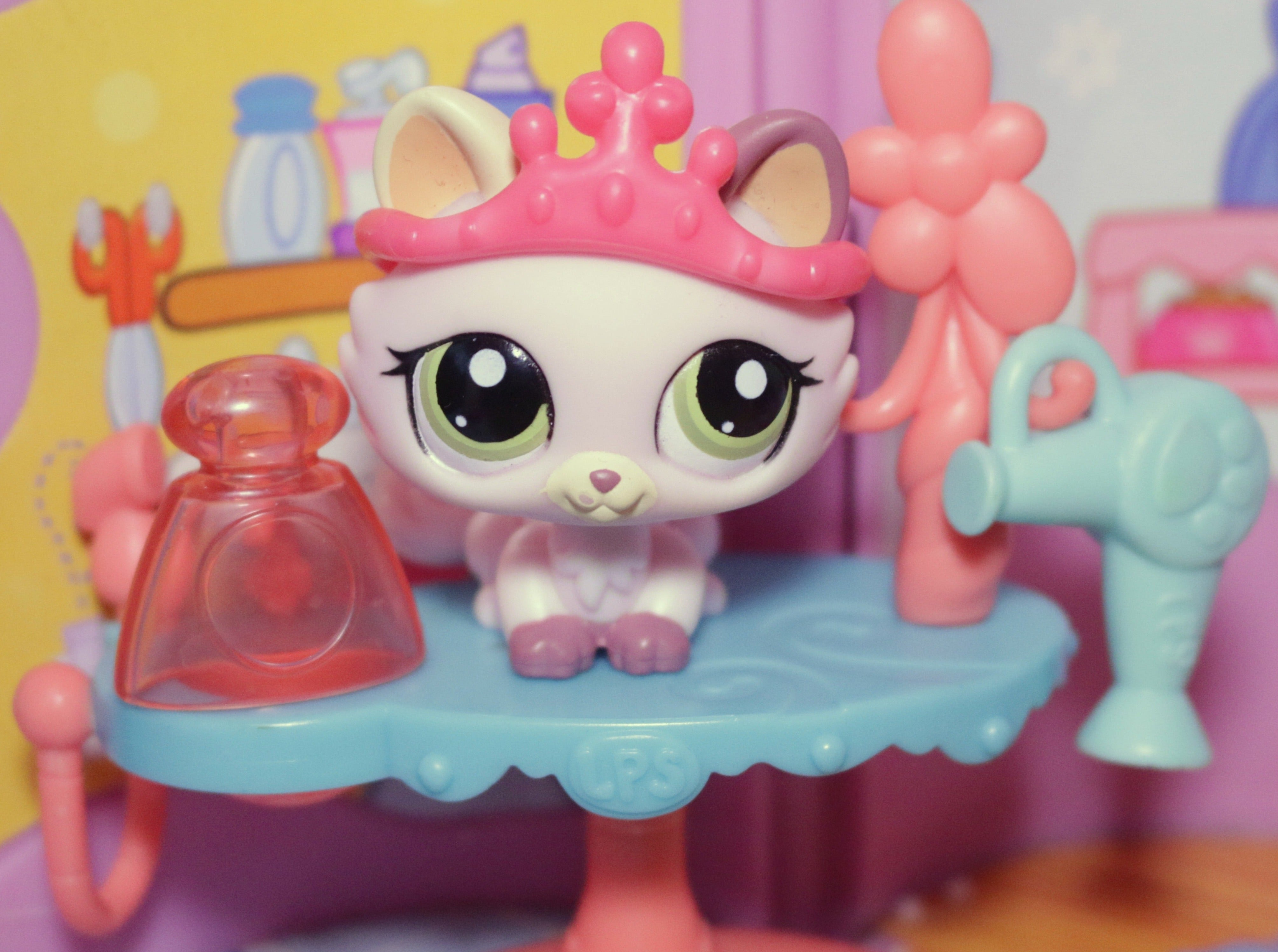 Grooming Table