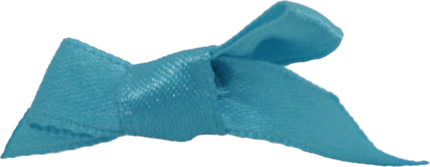 Hair Bow