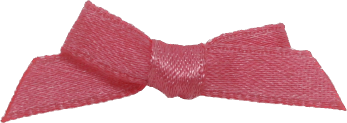 Hair Bow