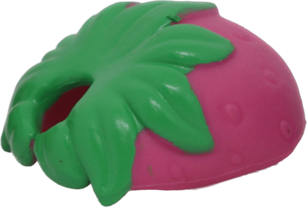 Hungry Pets Costume - Strawberry
