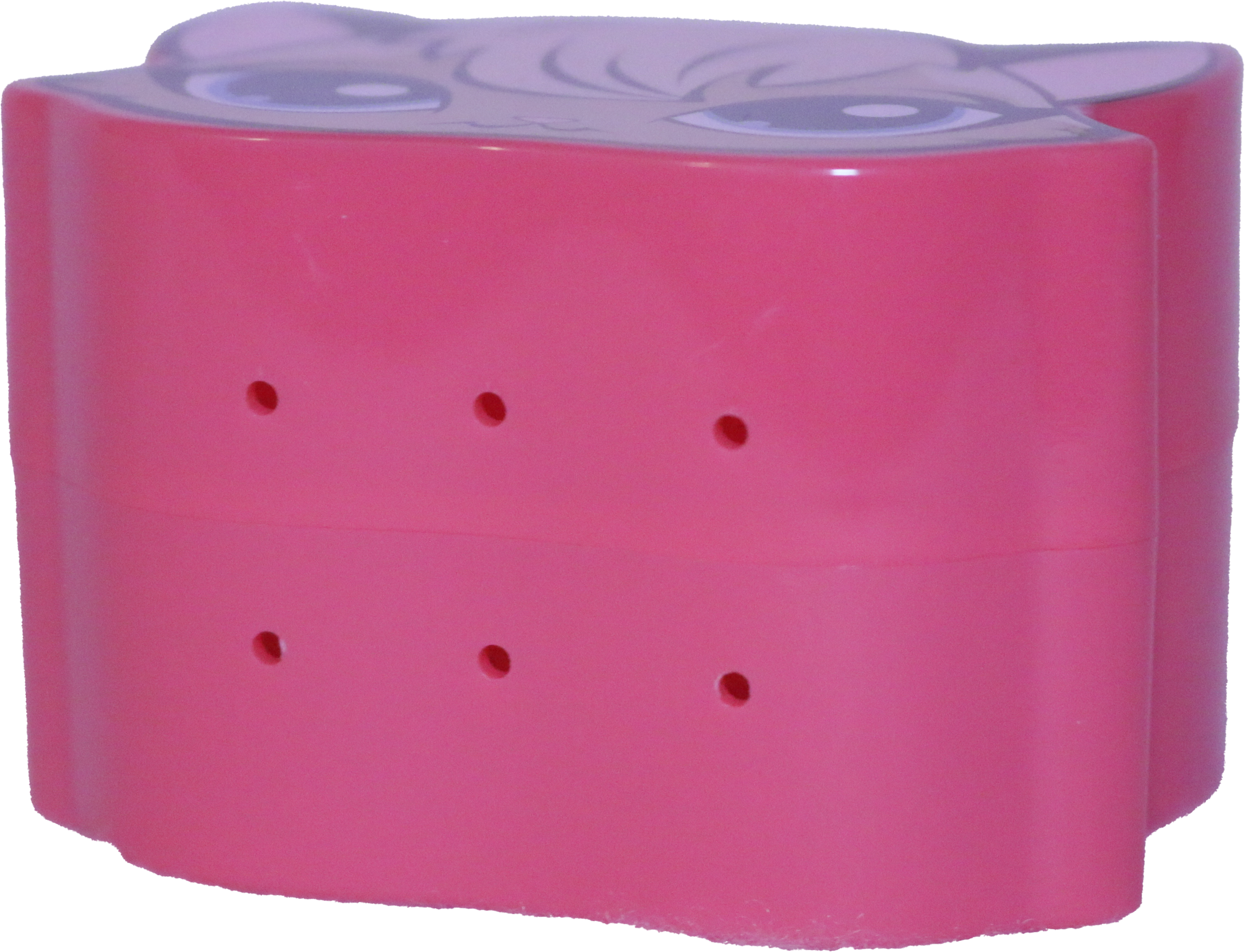 Kitten Party Favor Box