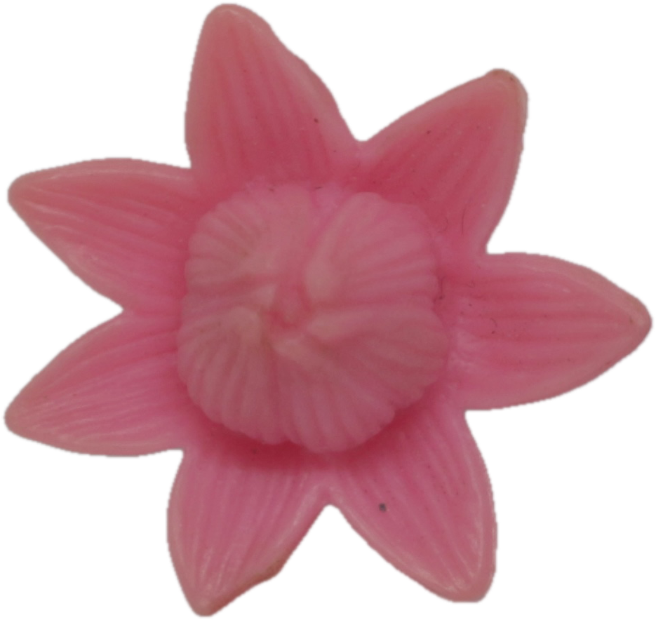 Lily Flower