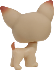 #0001 Chihuahua