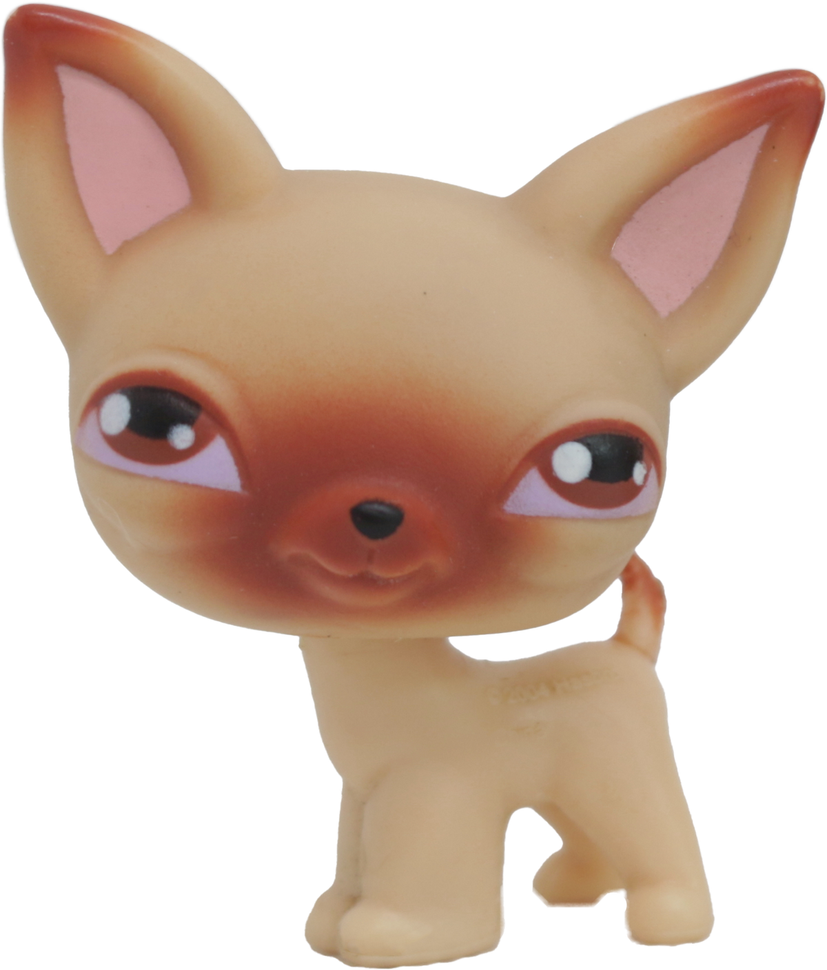 #0001 Chihuahua