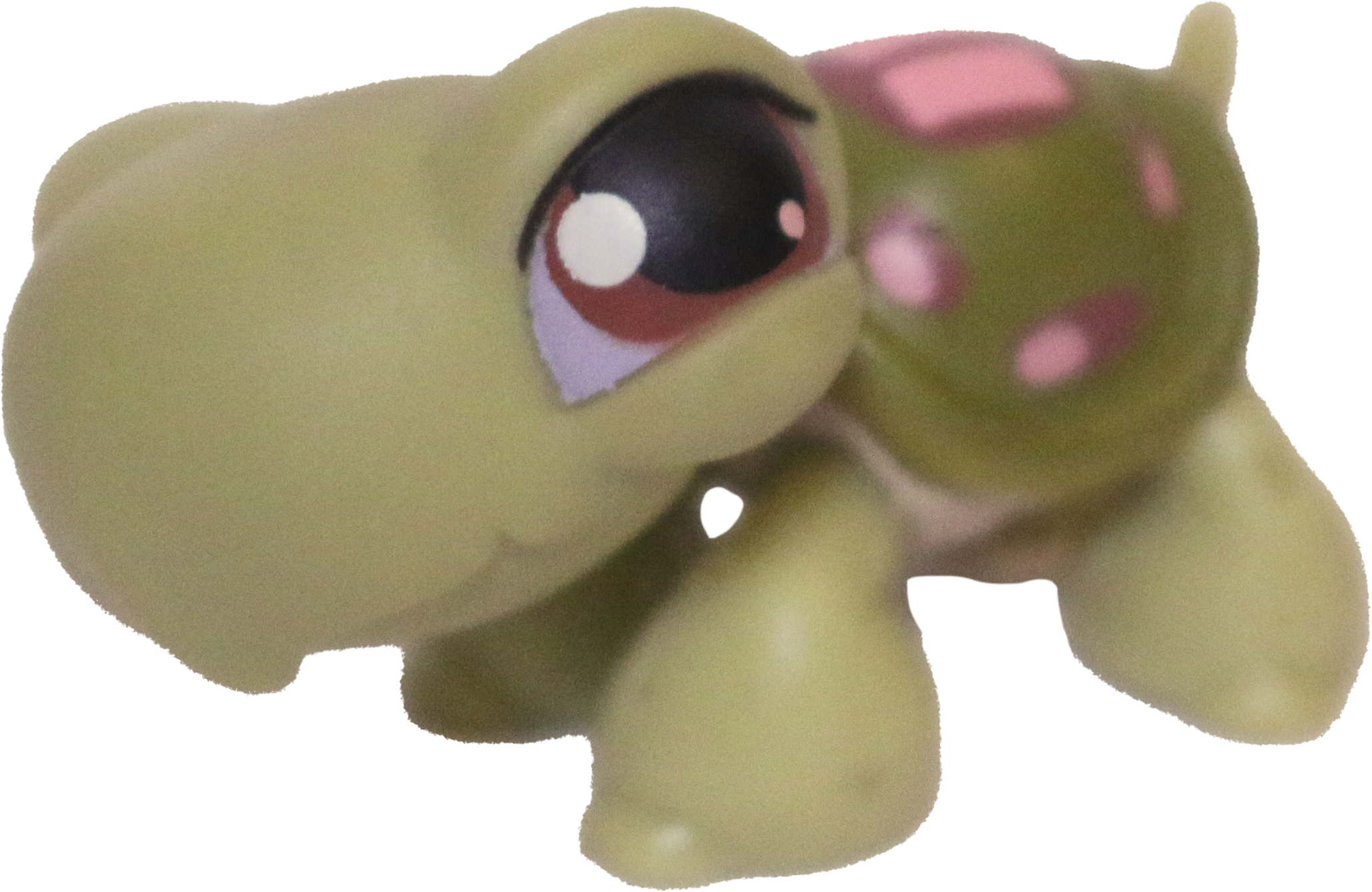 #0007 Turtle