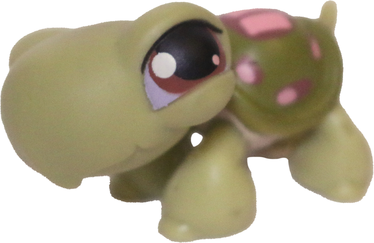 #0007 Turtle