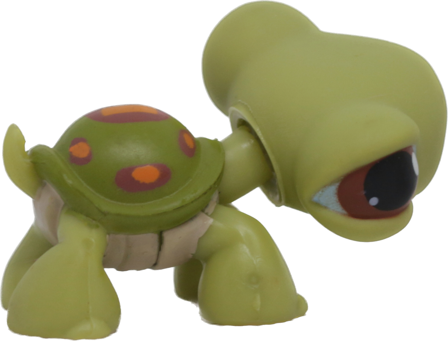 #0008 Turtle