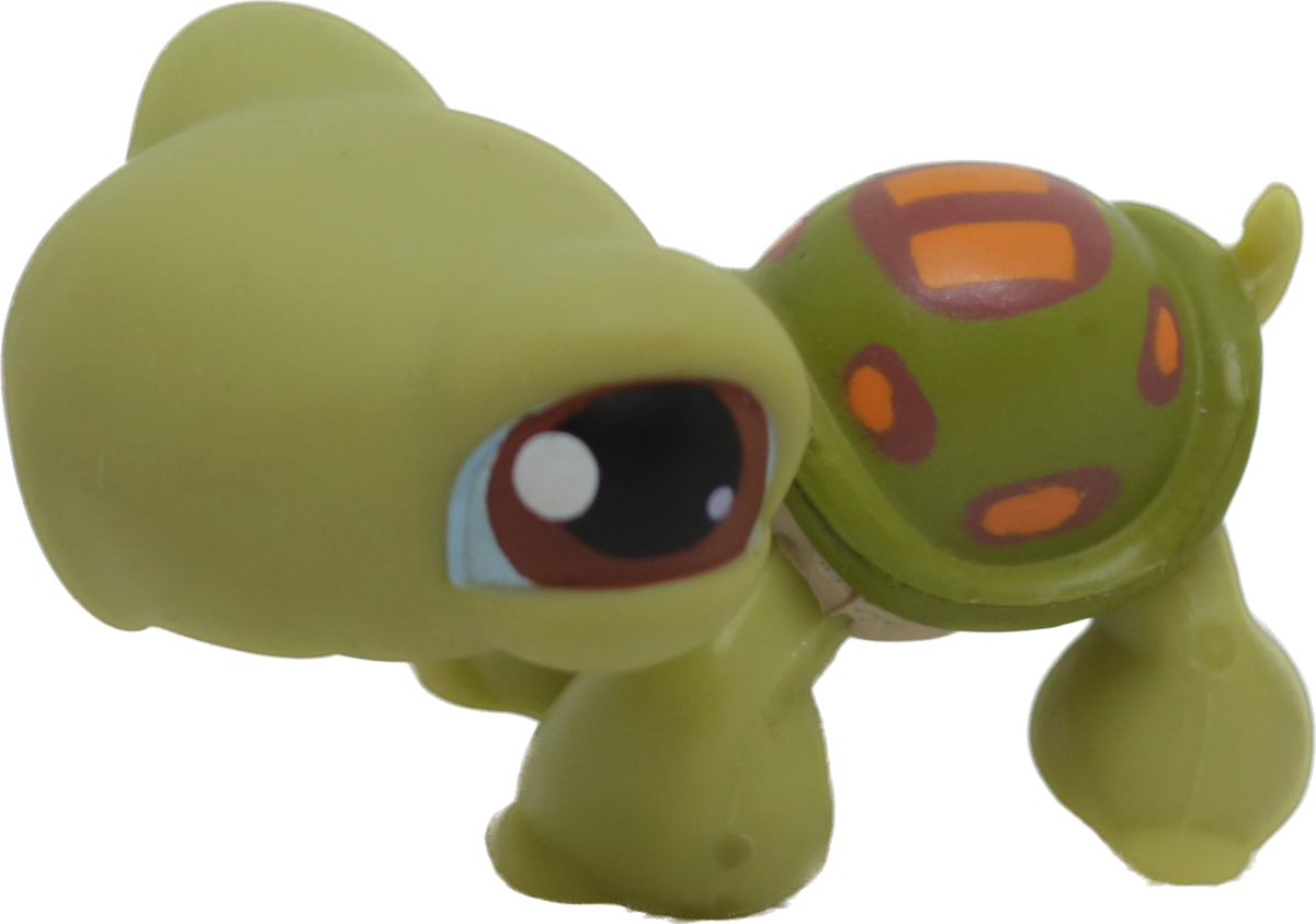 #0008 Turtle