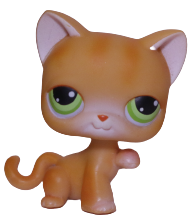#0011 Paw Up Cat