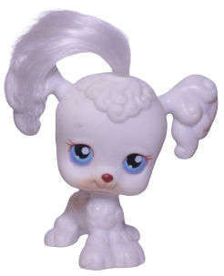 #0017 Poodle