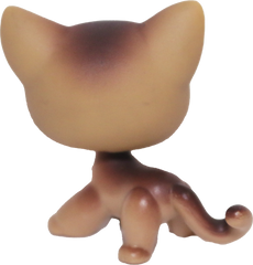 #0019 Shorthair Cat