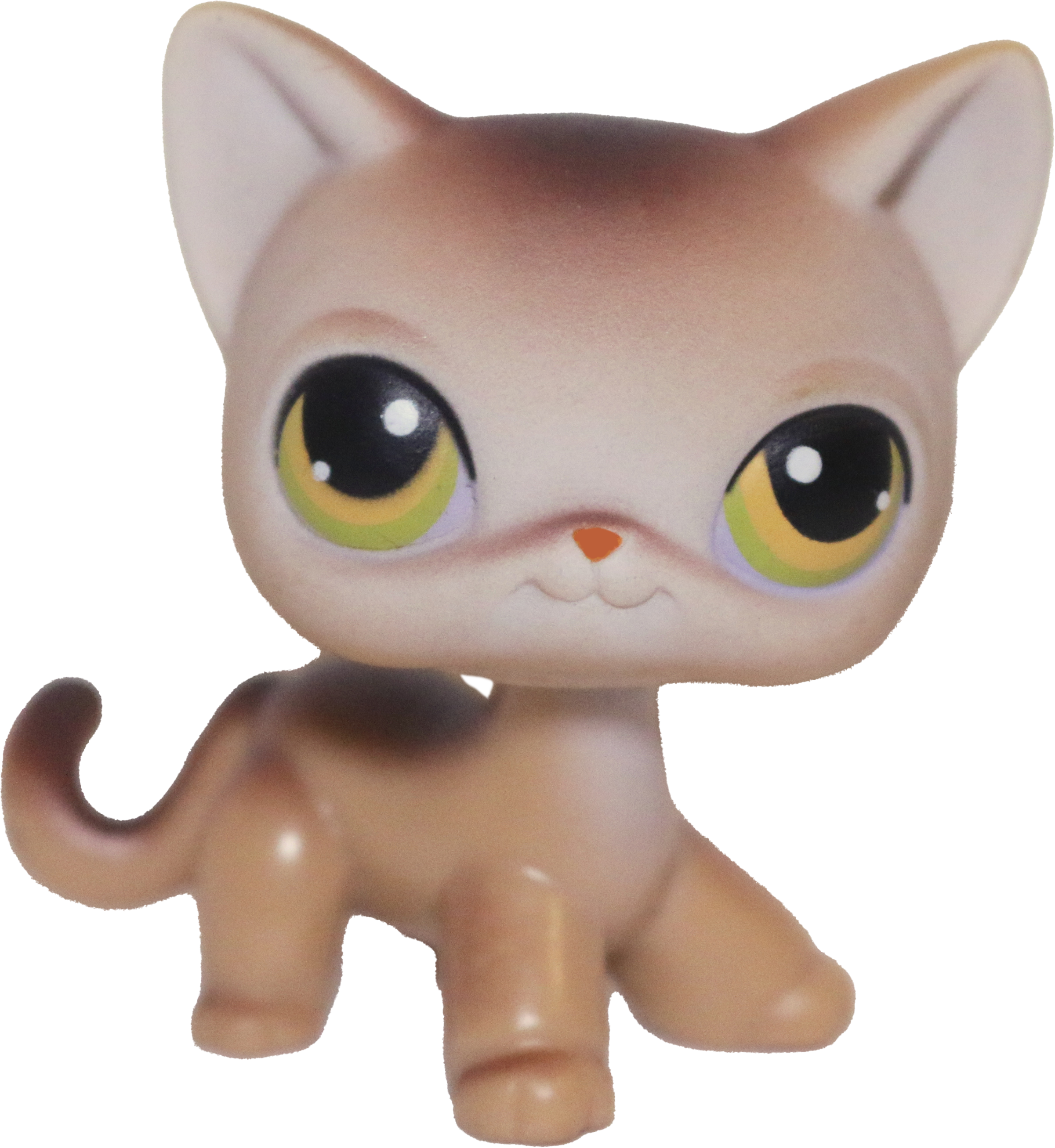 #0019 Shorthair Cat