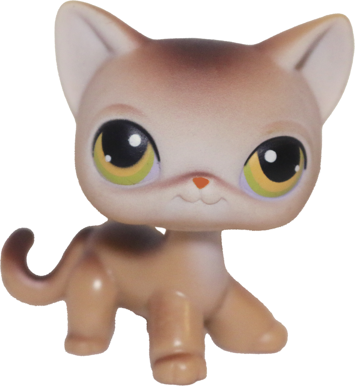 #0019 Shorthair Cat