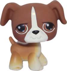 #0025 Boxer