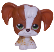 #0031 Spaniel