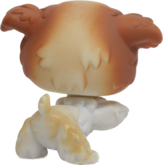 #0037 Poodle Puppy