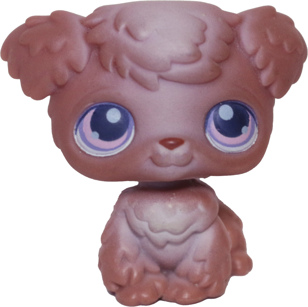 #0038 Poodle Puppy