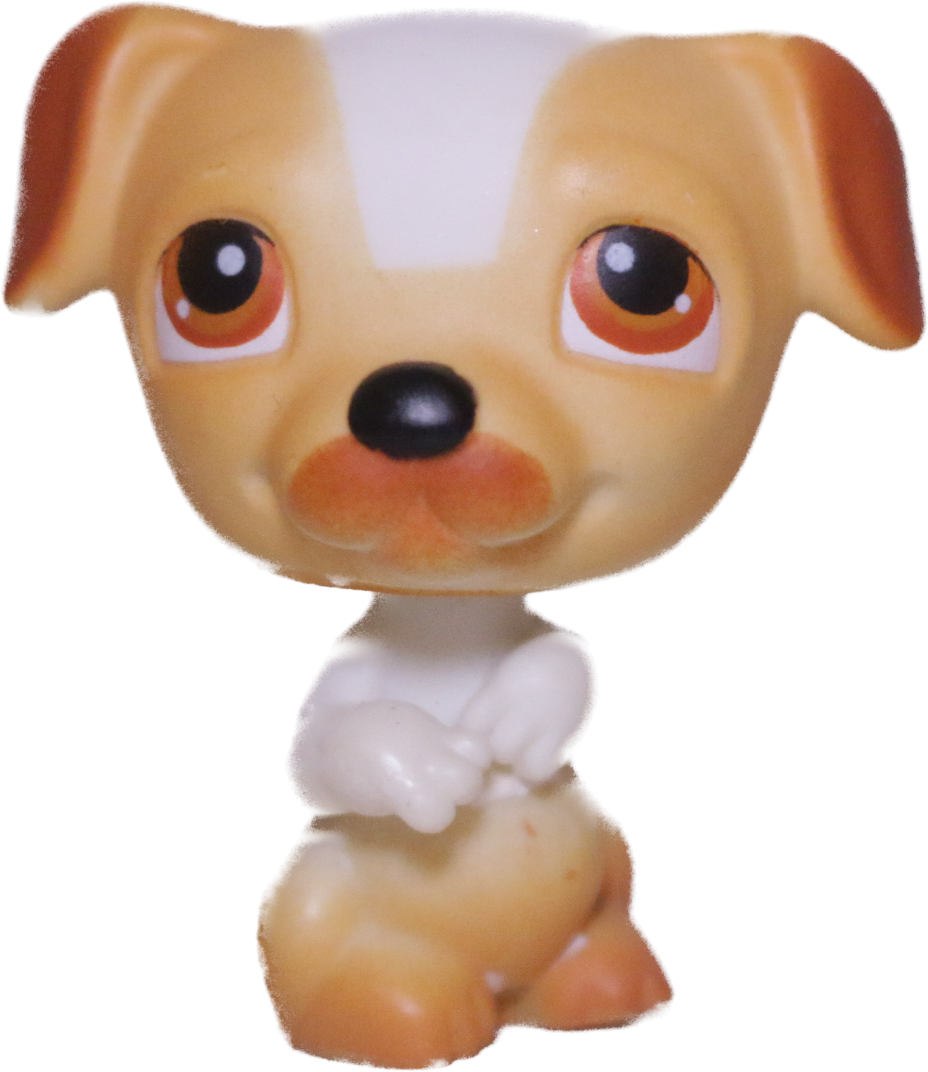 #0040 Jack Russell