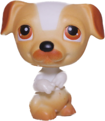 #0040 Jack Russell
