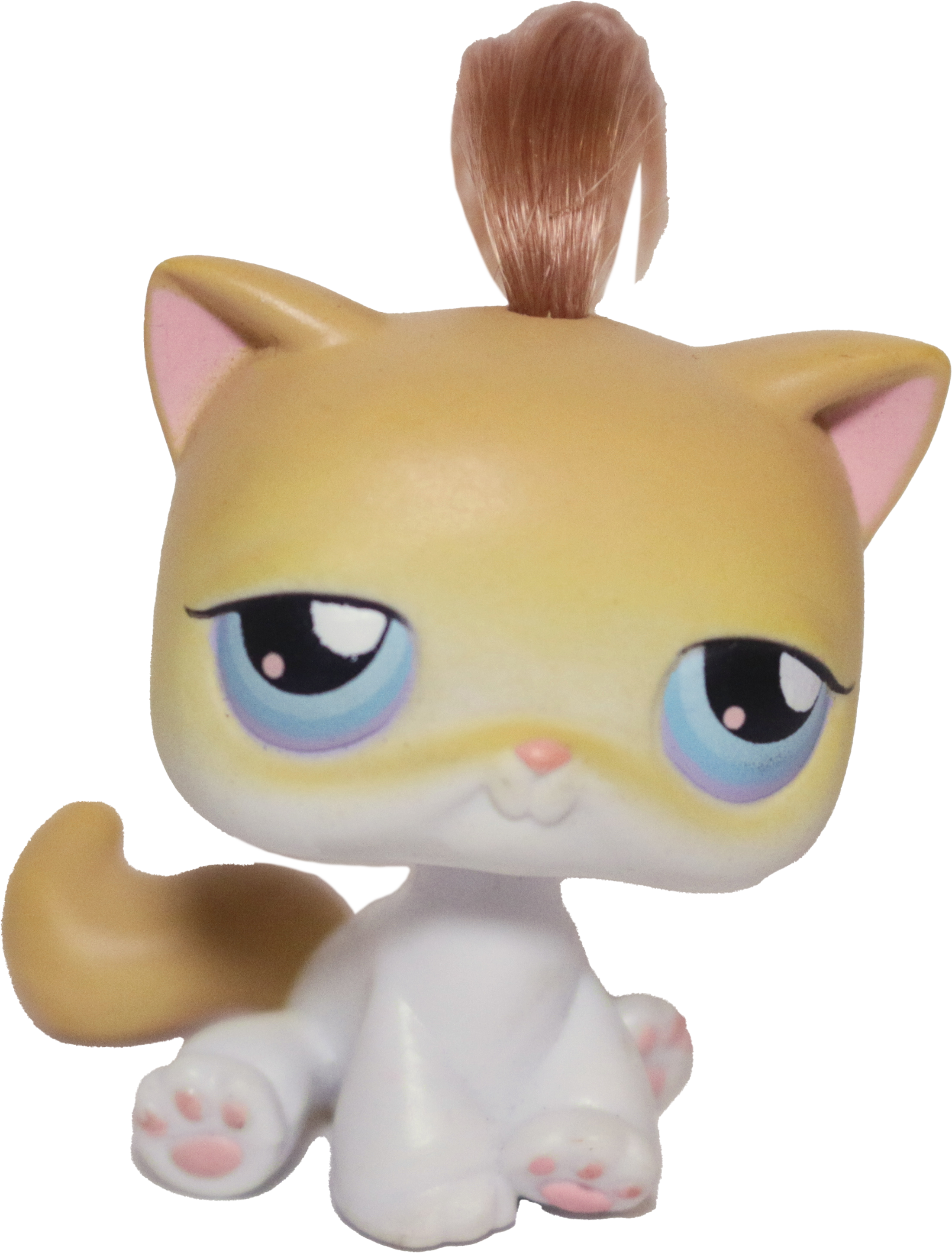 #0042 Sitting Cat