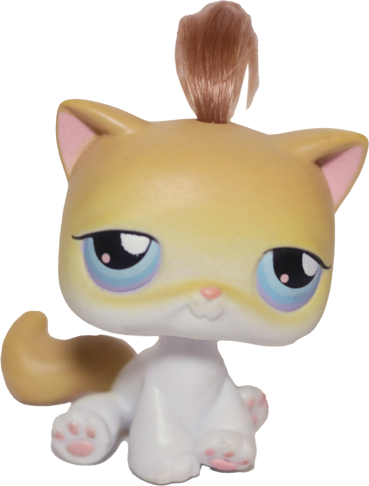 #0042 Sitting Cat