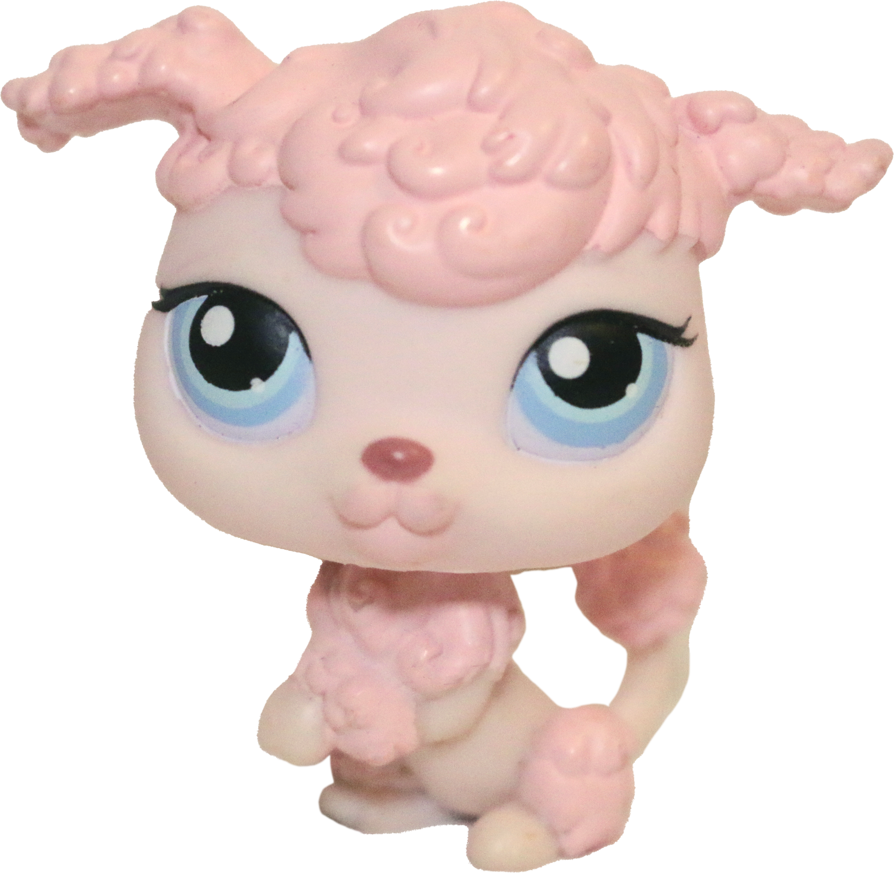 #0048 Poodle