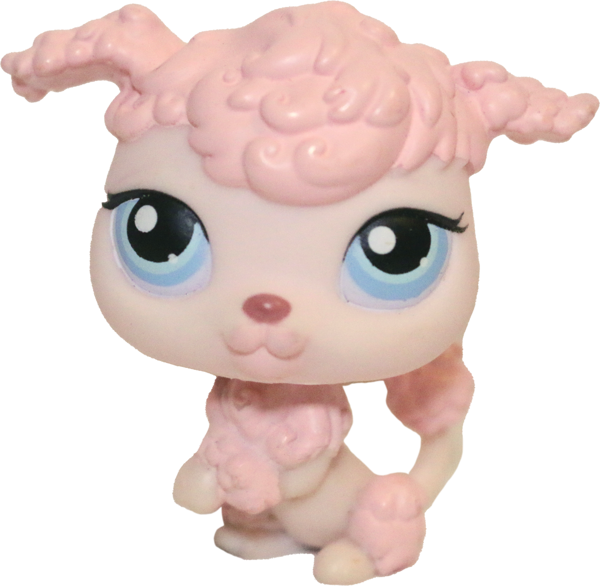 #0048 Poodle