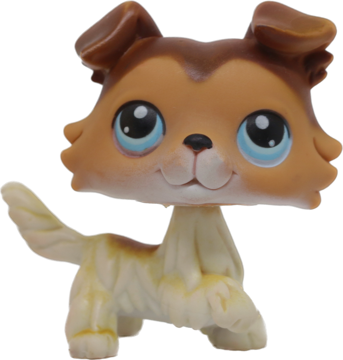 #0058 Collie