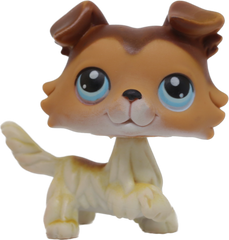 #0058 Collie